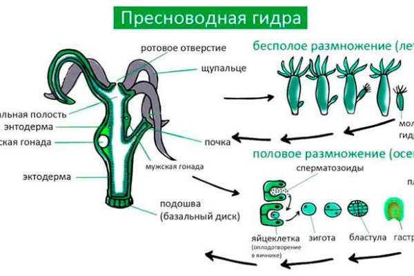 Канал кракен