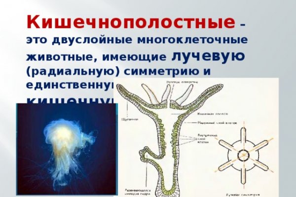 Kraken зарегистрироваться