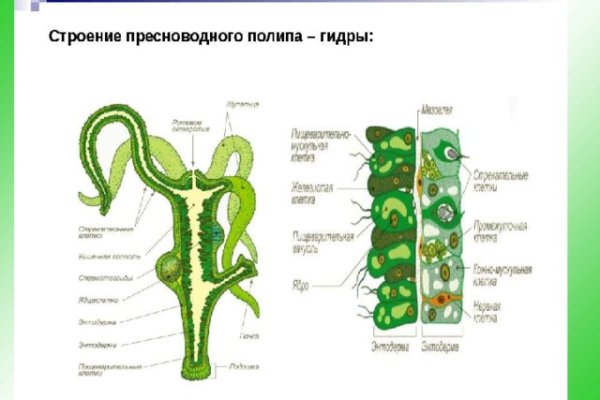 Кракен актуальная ссылка