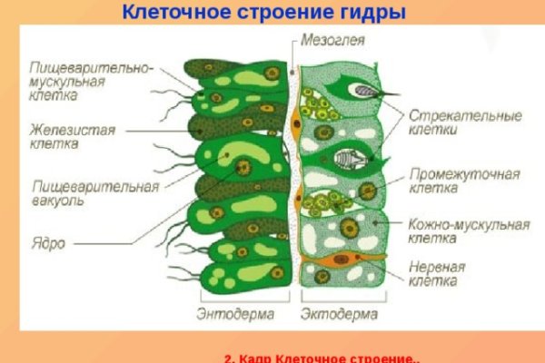 Кракен зеркало