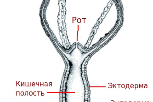 Кто основал блэкспрут