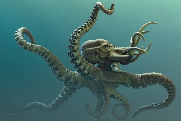 Kraken зарегистрироваться