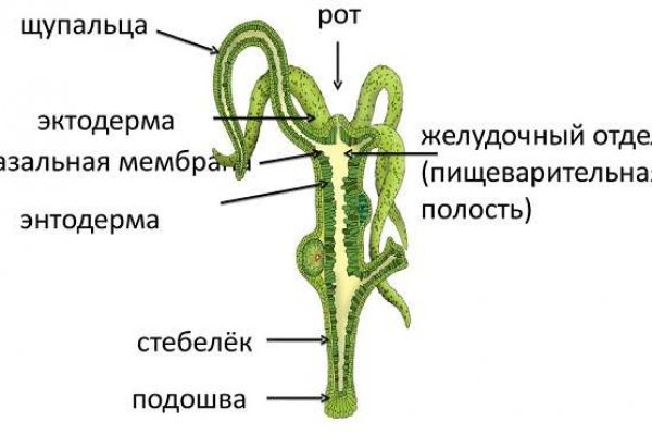 Сайт мега закладки